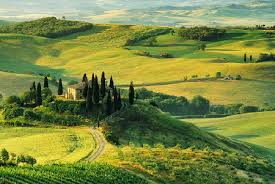 colline senesi 1