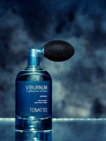 Editorial Tonatto