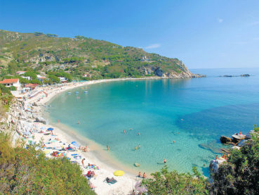 cavoli