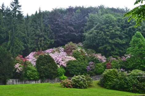 Conca dei Rododendri