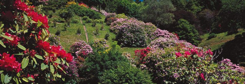 Conca dei Rododendri
