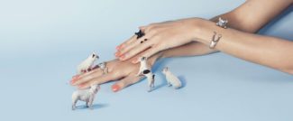 Dog Fever