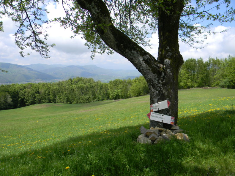 Lungo il percorso della via degli Dei