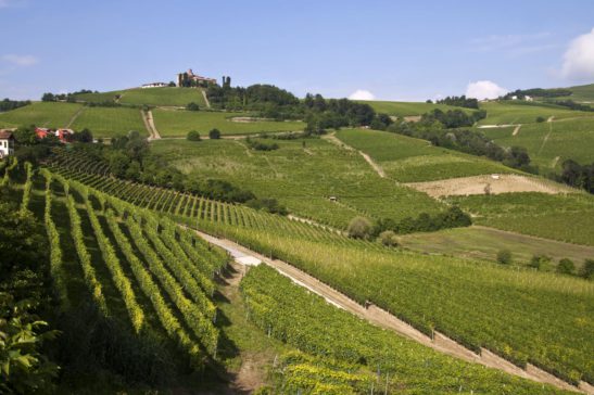 Monferrato