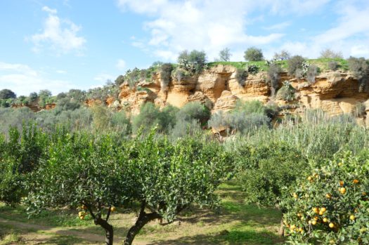 Valle di Kolymbetra