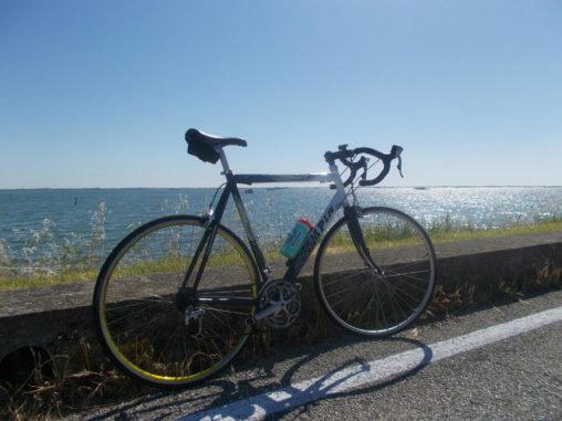 Gita in bicicletta sul Po