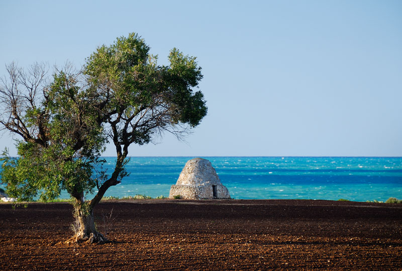 Costa dei Trulli