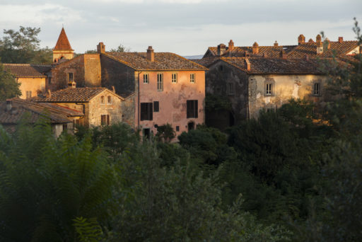 Medieval Village (1)