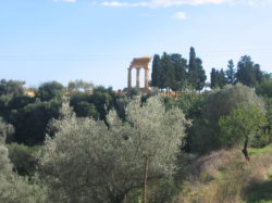 Giardino_della_Kolymbetra
