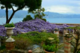 La Cervara