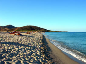 Baronia di Posada