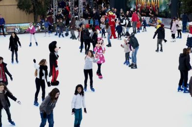 IcePark