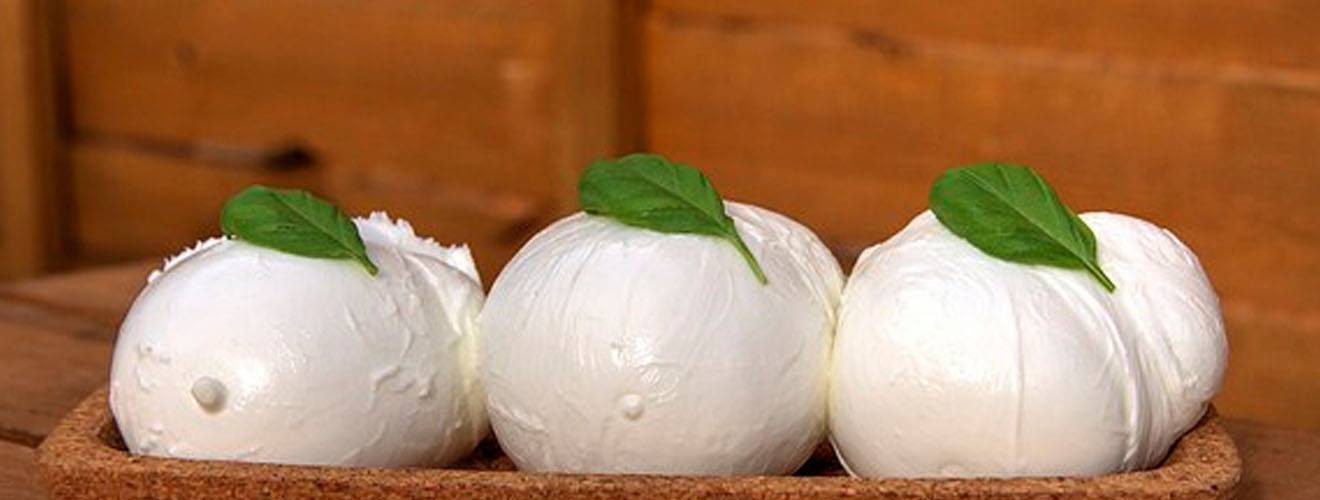 Mozzarella di bufala