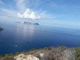 Ponza