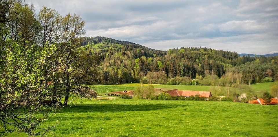 agriturismi nelle marche