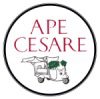 Ape Cesare