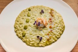 margutta 5