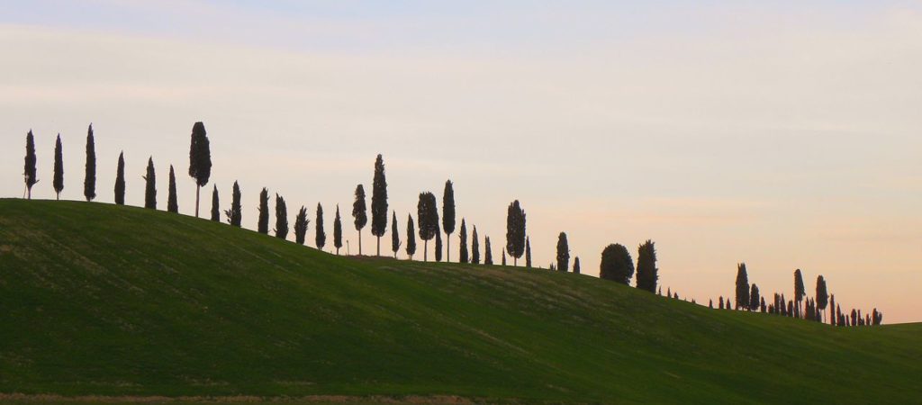 la Via Francigena