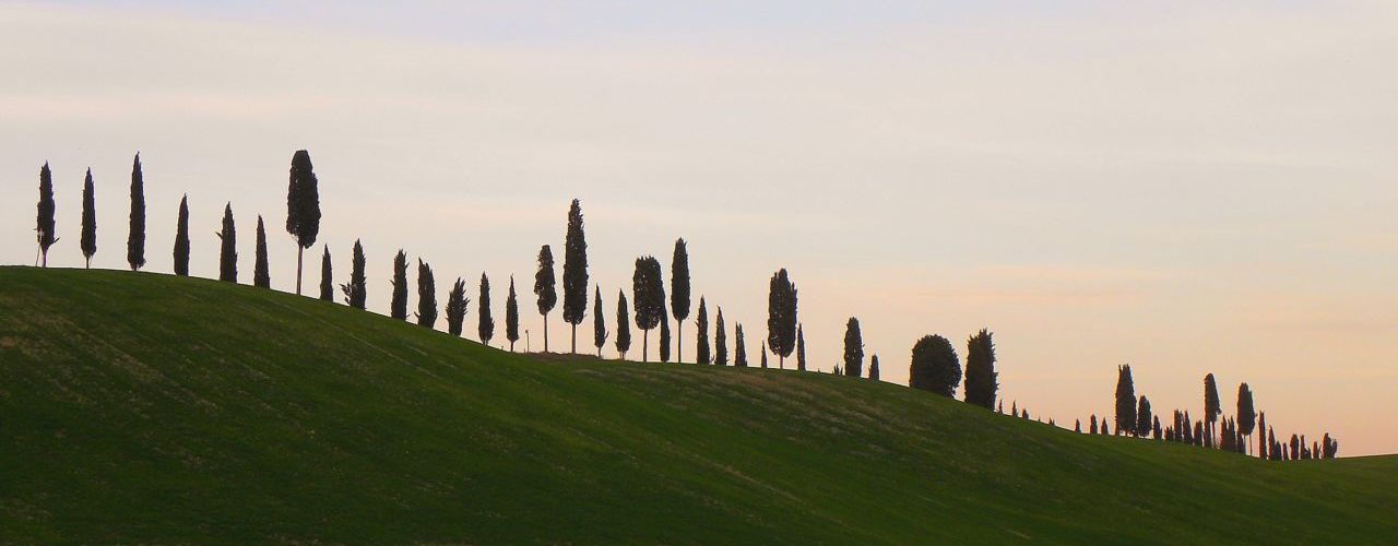 la Via Francigena