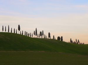 la Via Francigena