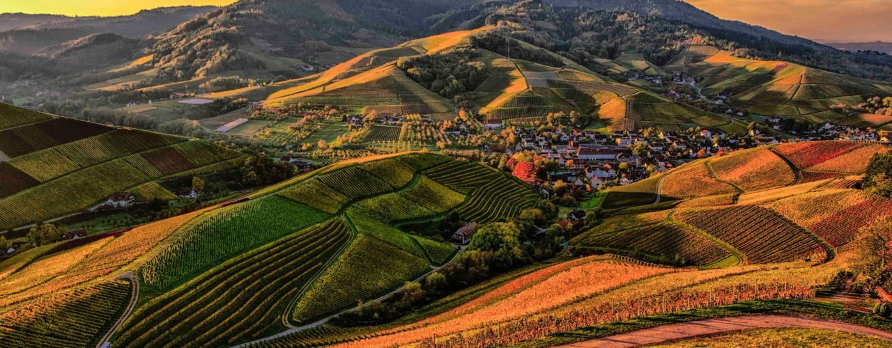 aziende agricole in emilia romagna