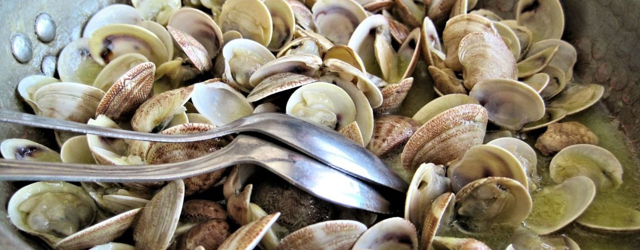 vongole di cattolica