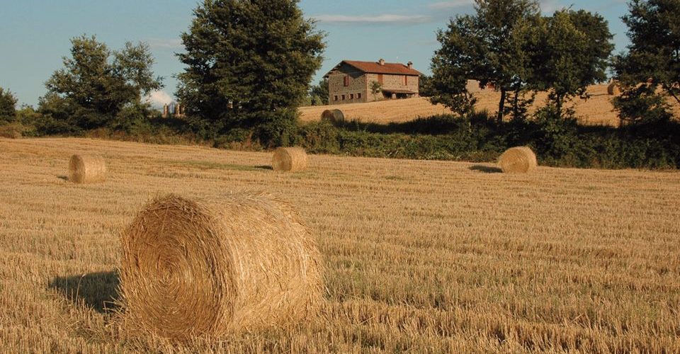 agriturismi nel lazio