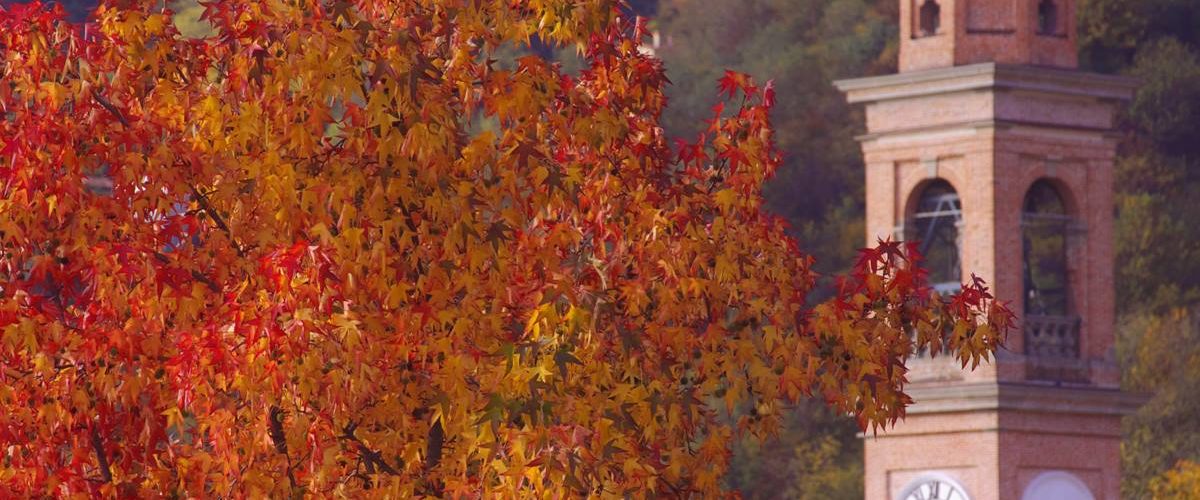 Giornate d’Autunno FAI
