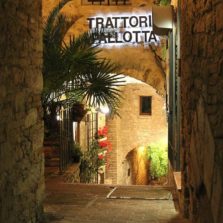 tr.pallotta1