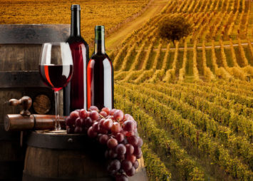 red wine with vineyard