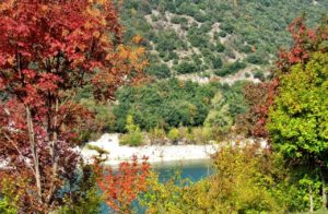 foliage in italia