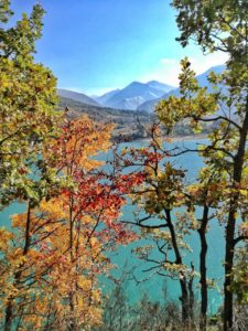 foliage in italia