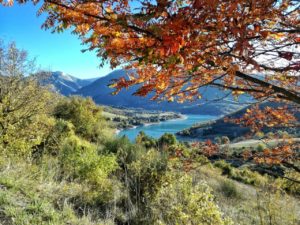 foliage in italia