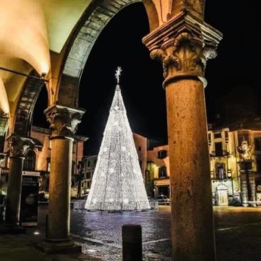prolocoviterbo