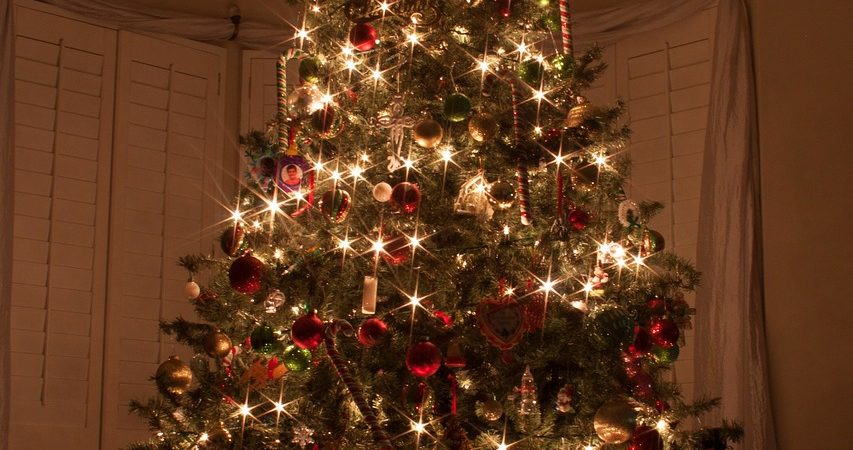 Capelli D Angelo Decorazioni Natalizie.Alberi Di Natale Particolari 7 Consigli Per Creare Quello Giusto Snap Italy