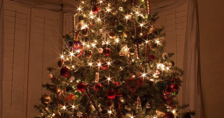 Alberi Di Natale Particolari.Alberi Di Natale Particolari 7 Consigli Per Creare Quello Giusto Snap Italy