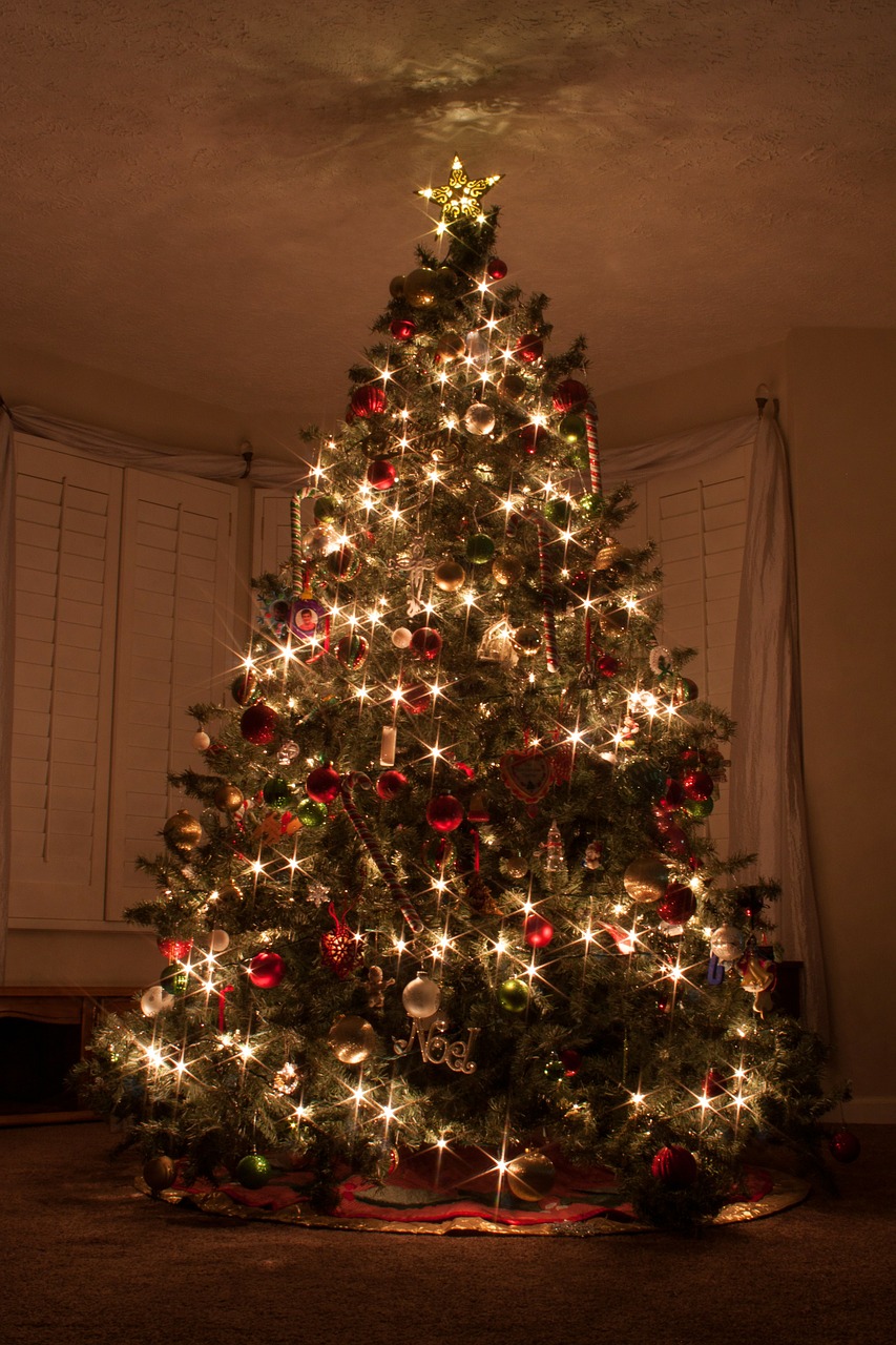 Foto Di Bellissimi Alberi Di Natale.Alberi Di Natale Particolari 7 Consigli Per Creare Quello Giusto Snap Italy