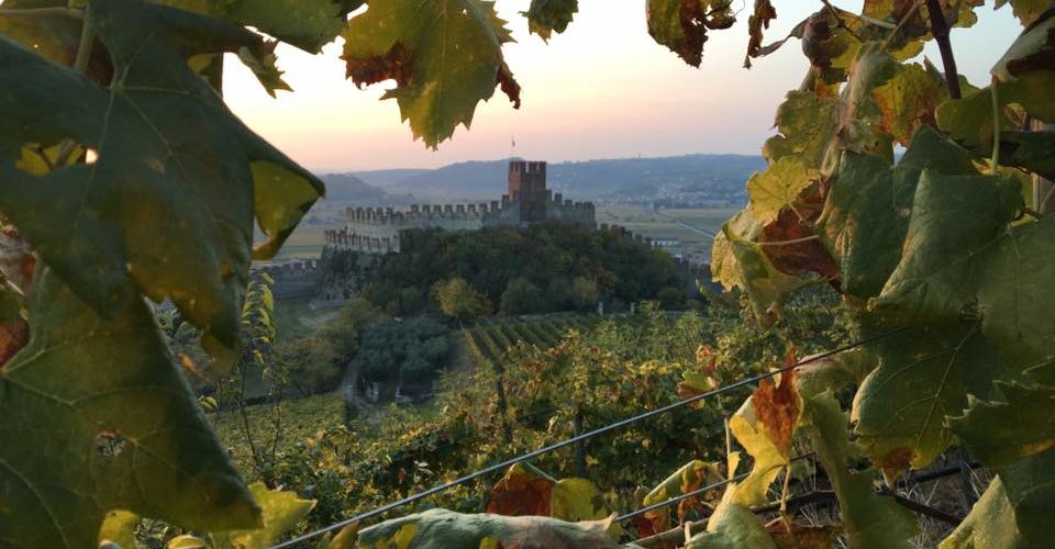 Soave