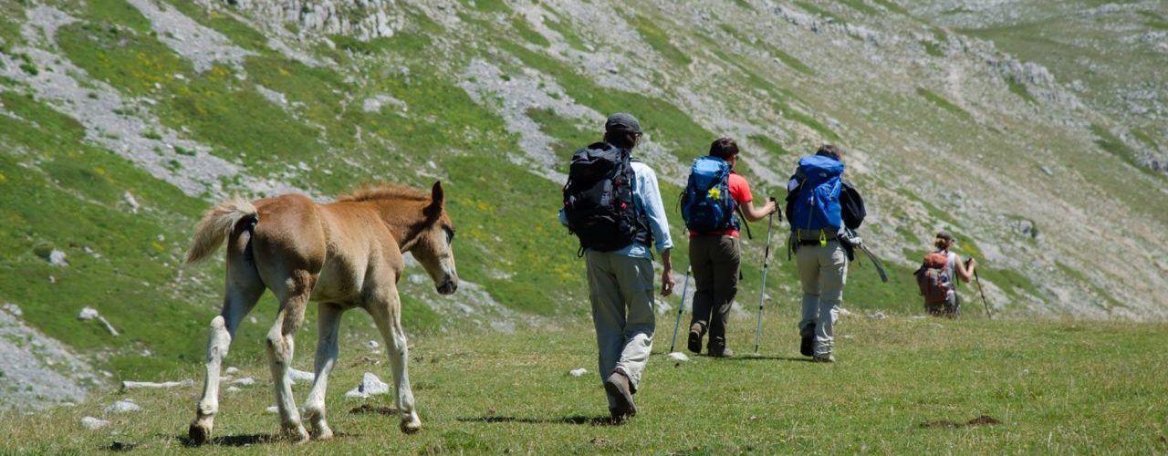 cammino dei briganti