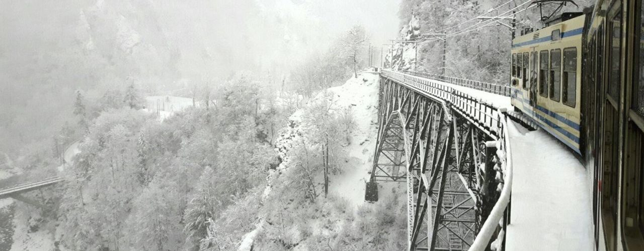 ferrovia vigezzina