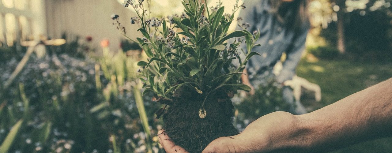 arredare il giardino