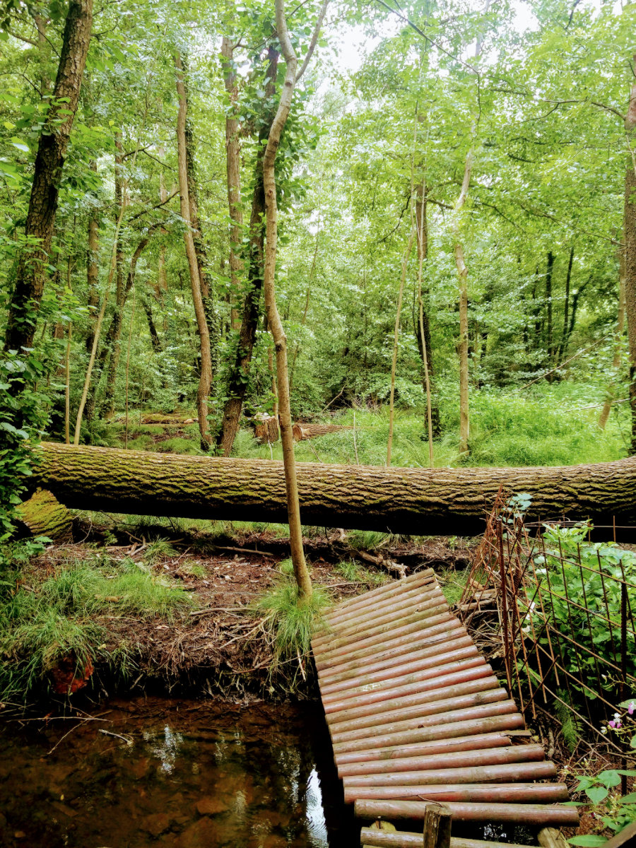 Montalto Dora alla scoperta delle incantevoli Terre Ballerine Snap Italy
