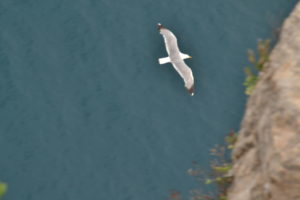 cosa fare a sperlonga