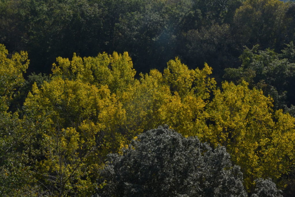 parco regionale Marturanum