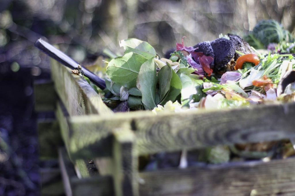 giornata contro lo spreco alimentare