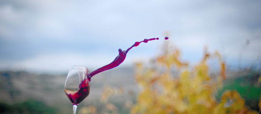che vino