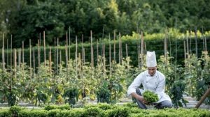 ristorante con l’orto