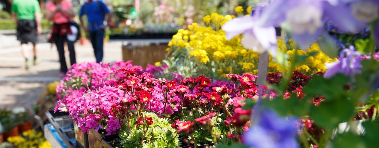 Merano FLOWER FESTIVAL