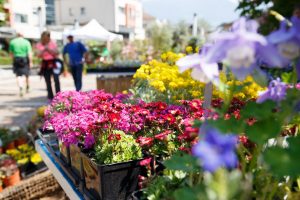 Merano FLOWER FESTIVAL