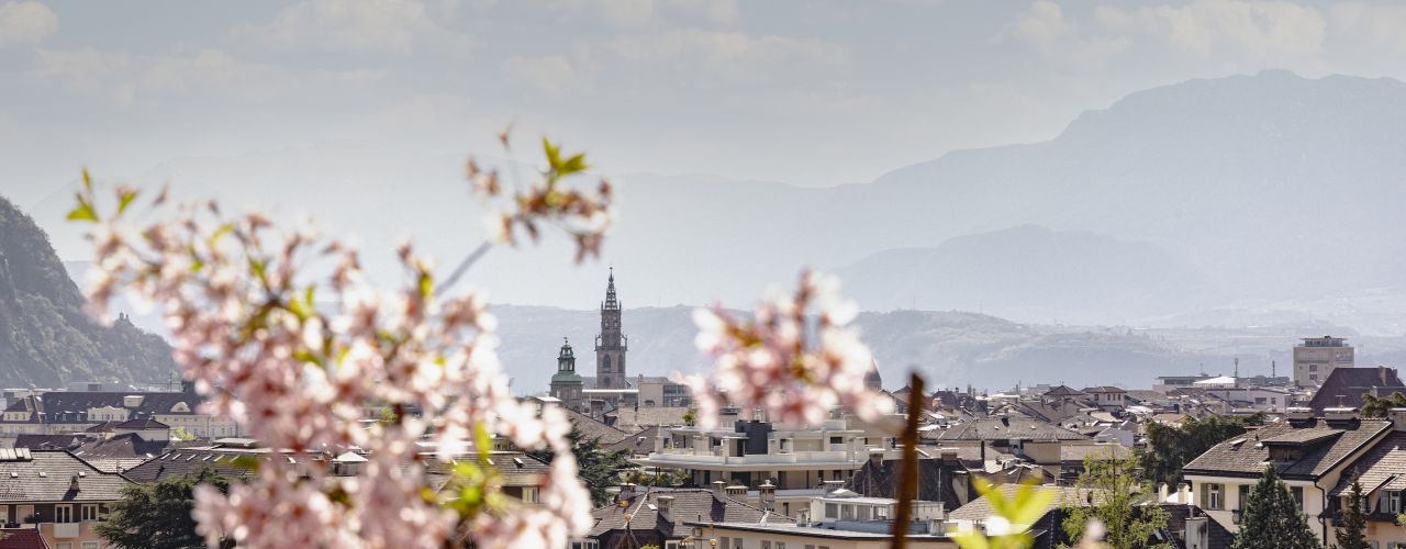bolzano in fiore arte
